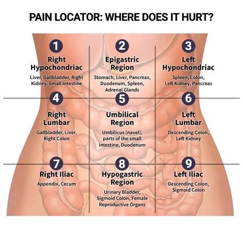 Female Lower Left Abdominal Pain