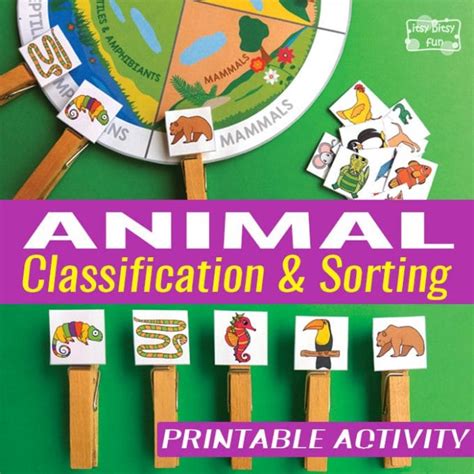 Animal Classification and Sorting Printable Activity - Itsy Bitsy Fun