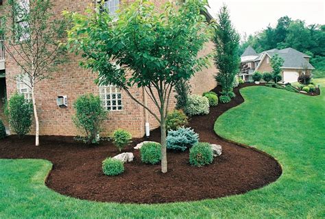 10 Stylish Ideas For Landscaping Around Trees 2024