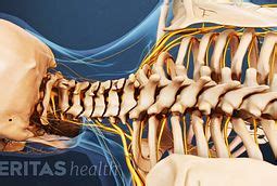 Coccydynia Symptoms