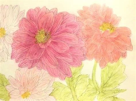 flower sketch Dahlia coloring :: Behance