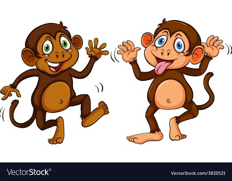 Two monkeys Royalty Free Vector Image - VectorStock