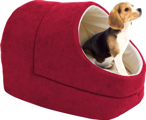 The Best Canopy Dog Beds for Style and Comfort - PuppyLists