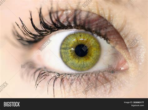 Female Eye Close-. Image & Photo (Free Trial) | Bigstock