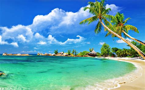 50 AMAZING BEACH WALLPAPERS FREE TO DOWNLOAD | Travel | Beach wallpaper, Beach images, Tropical ...