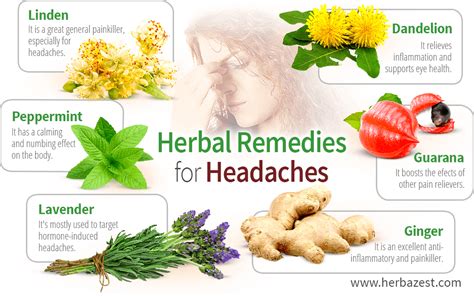 Herbal Remedies for Headaches | HerbaZest