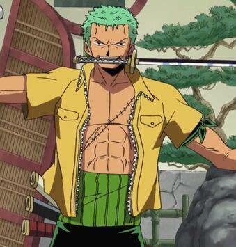 Top 10 favorite Zoro outfits | One Piece Amino