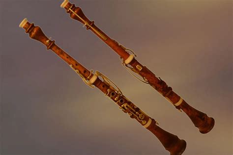 Oboe - Woodwind And Reed Instrument Overview - Phamox Music