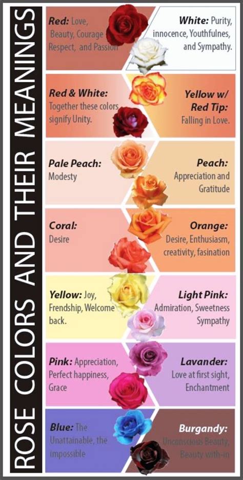 The Real Meaning Of The Different Rose Colors - Bored Art | Flower power, Bi̇tki̇, Renkler