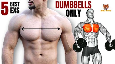 5 BEST CHEST WORKOUT WITH DUMBBELLS ONLY AT HOME/GYM – FastestWellness