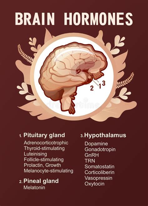 Brain Hormones Icon, Outline Style Stock Vector - Illustration of line, icon: 192852832