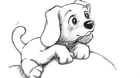 How to draw puppy step by step for beginners and kids step by step