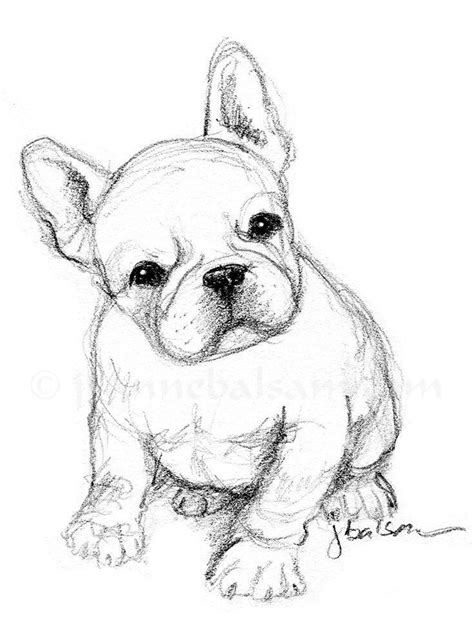 40 Free & Easy Animal Sketch Drawing Information & Ideas - Brighter ...