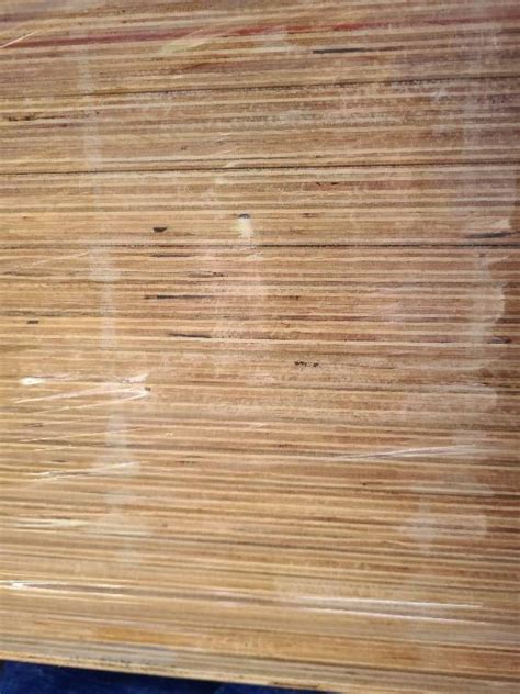 2400X1200X15MM PLYWOOD SHEETS- (PACK MAY BE SLIGHTLY WEATHERED) - Fowles Auction ＆ Sales