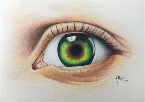 Eyes Drawing Color