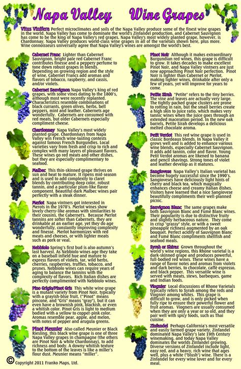 Napa Valley Wine Grapes Guide Card – Franko Maps