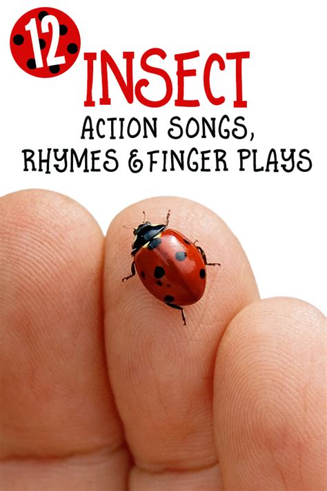 12 Insect Action Songs, Rhymes and Finger Plays