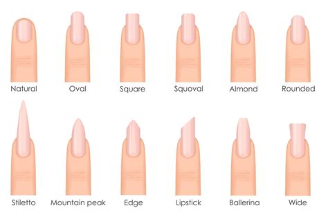 5 Perfect Nail Shapes and How to Achieve Them! - LivOliv Cosmetics