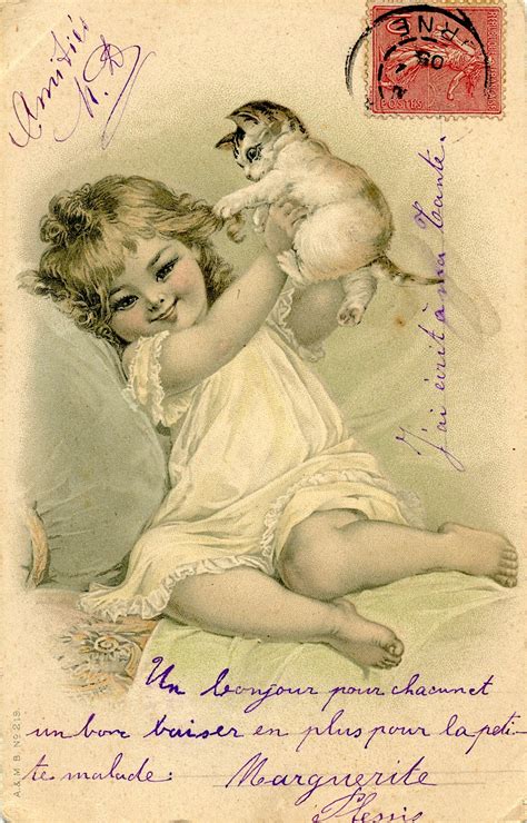 Lot - Antique Rare Postcard Animals Kittens