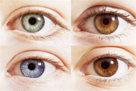 What is the rarest eye colour in the world? - BBC Science Focus Magazine