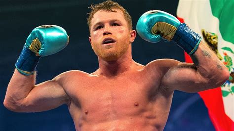 Canelo Alvarez Knockouts Highlights