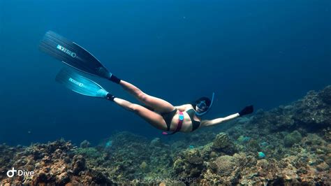 Best Diving Spots in Batangas - The Queen's Escape