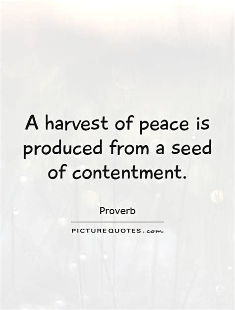 Quotes About Contentment. QuotesGram