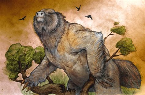 Paleontologists Find 3.58-Million-Year-Old Ground Sloth Fossil | Paleontology | Sci-News.com