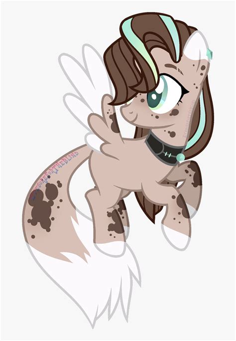 My Little Pony Pegasus Base, HD Png Download , Transparent Png Image - PNGitem