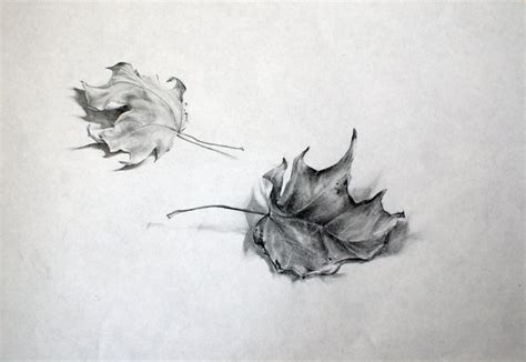 fall leaves pencil sketch | Leaves sketch, Pencil sketch, Pencil art drawings