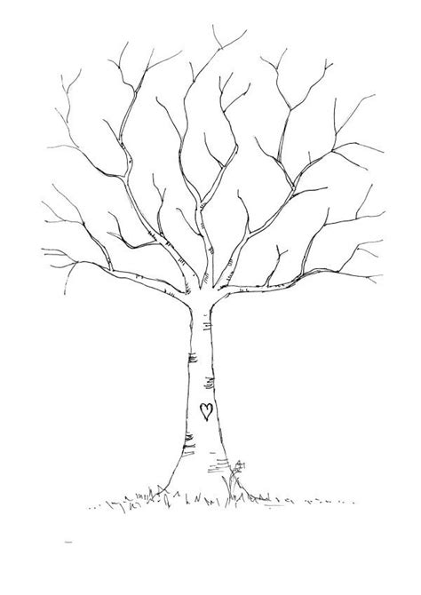 Tree Drawing Outline: Simplifying Your Tree Illustrations with Clean Lines