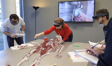 Virtual Anatomy | Healthcare Simulation | HealthySimulation.com