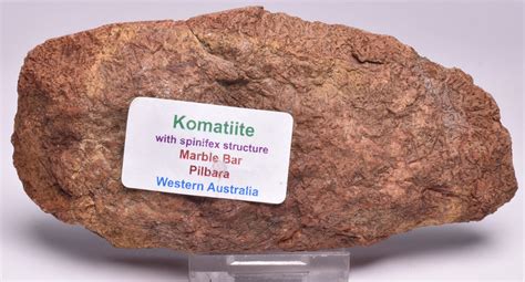 KOMATIITE WITH SPINIFEX STRUCTURE, PILBARA, WESTERN AUSTRALIA S1320 – Crystal World Exhibition ...