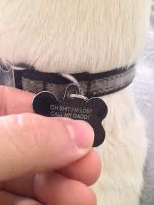 44 Hilarious Collar Tags For Pets Who Tend To Get Lost | Bored Panda