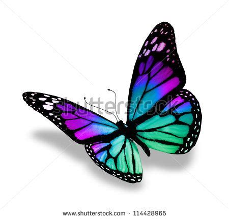 Butterfly, isolated on white background | Purple butterfly tattoo, 3d butterfly tattoo ...