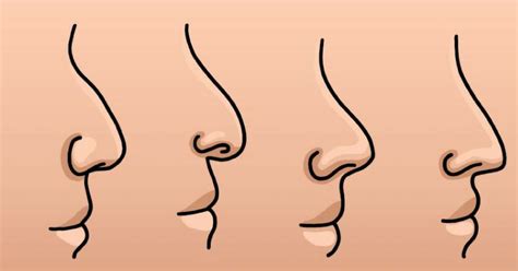 What The Shape Of Your Nose Reveals About Your Personality