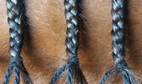 5 GENIUS HORSE BRAIDING HACKS - Braid Secrets