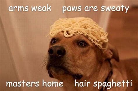 Hair Spaghetti : r/memes