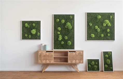 Green Forest Moss Pictures: Real Moss Art | Forest Homes