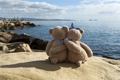 318 Two Teddy Bears Hugging Photos - Free & Royalty-Free Stock Photos ...