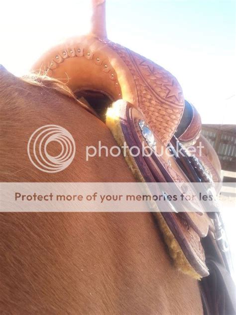 Saddle Fit, please help. | The Horse Forum