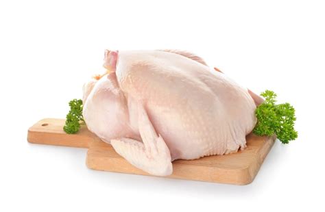 My Dog Ate Raw Chicken - What should I do? » Petsoid