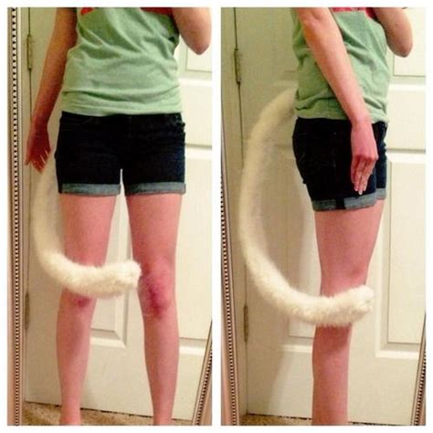 How To Make A Black Cat Tail For Costume - Cat Lovster