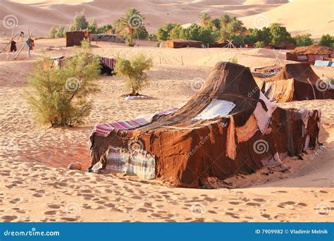 An Oasis In The Sahara Desert. Royalty-Free Stock Photo | CartoonDealer.com #79676973