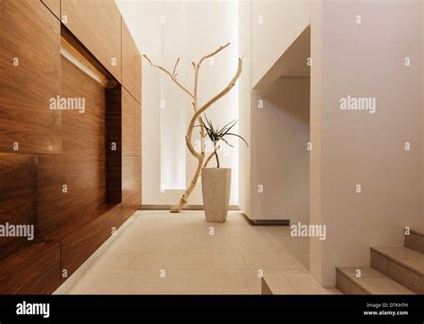 Entrance in modern house Stock Photo - Alamy