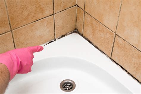 How to get rid of Bathroom Mildew | Puget Sound Plumbing