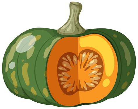 Premium Vector | Pumpkin cut vector on white background