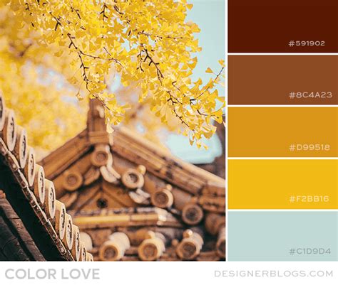 Yellow & Brown Color Palette