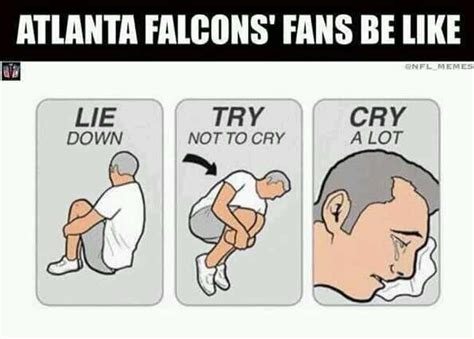 19 Anti Atlanta Falcons Memes For All the Dirty Bird Haters