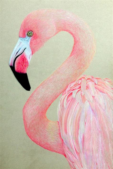 Artful Evidence: Coloured Pencil Sketch - Pink Flamingo